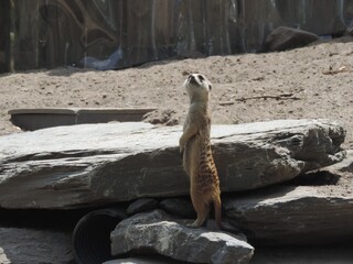 zoo de Granby