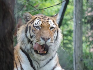 zoo de Granby