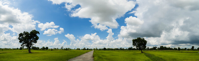 Sky with white fluffy clouds on the blue sky over the rice field.