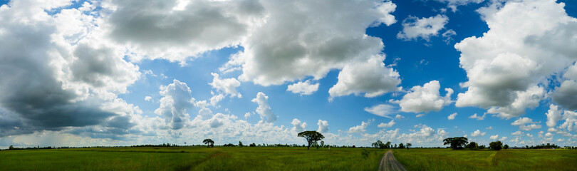 Sky with white fluffy clouds on the blue sky over the rice field.