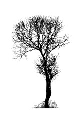 Black silhouette of a tree without leaves. Vector illustration