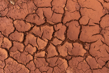dry cracked ground