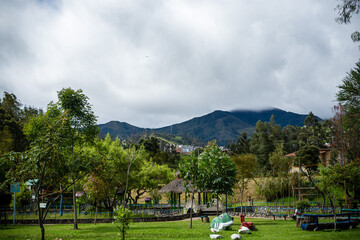 people in the park