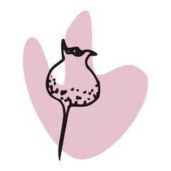 The plant is drawn by hand with a pen and translated into vector format. In the background there is an abstract colored spot. Stock vector illustration. For garment decoration, packaging, interior