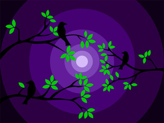 silhouette of a tree, tree in the night, bird in the night, twigs