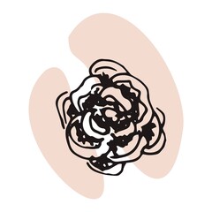 The plant is drawn by hand with a pen and translated into vector format. In the background there is an abstract colored spot. Stock vector illustration. For garment decoration, packaging, interior