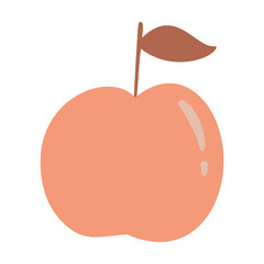 Isolated vector illustration of an apple for decoration