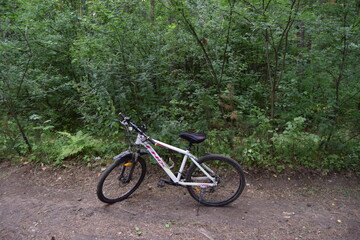 Fototapeta premium bicykle