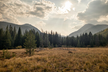 Fototapeta na wymiar Landscape in the Eagles Nest Wilderness, Colorado