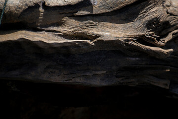 A scenic closeup shot of a append old wooden tree texture on a blurred background