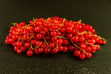 red currant on a dark background 