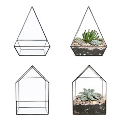 Fototapeta premium Set with beautiful florariums on white background