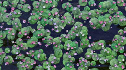 A waterlily blossom in pond nenuphar and water 3D illustration - obrazy, fototapety, plakaty