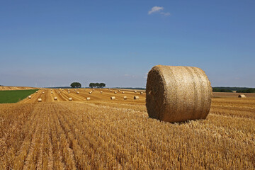 Harvested field with several rolled hay bales in Summer