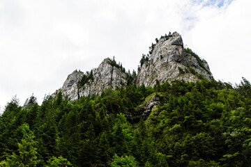 Zanoagei gorges in Carpathians mountains. Romania, Europe.