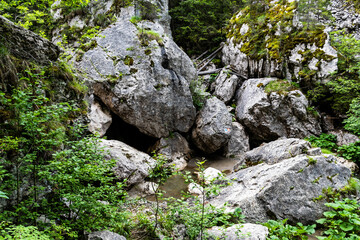 Zanoagei gorges in Carpathians mountains. Romania, Europe.
