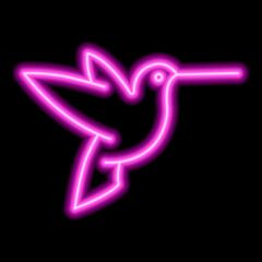 Neon pink outline of hummingbird on a black background. One object. Icon illustration