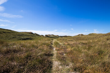 Dunes near Hvide Sande