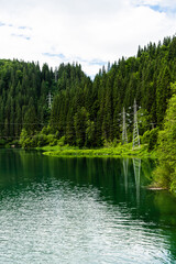Fototapeta na wymiar Scropoasa Lake, an artificial dam lake in the Bucegi Mountains, on the valley of the Ialomita River. Romania.