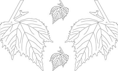 line drawing vector leaf and banana tree leaves. Modern single line art, aesthetic contour. Perfect for home decoration such as posters, wall art, tote bag, t-shirt print, sticker, mobile case