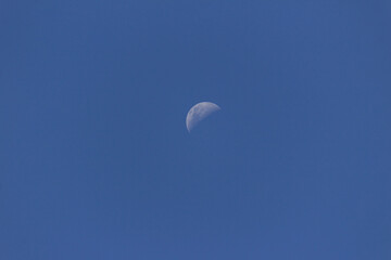 moon in the sky