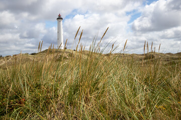 Lighthouse lyngvig with dunes