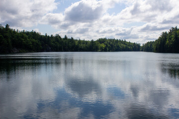 Fototapeta na wymiar lake and forest
