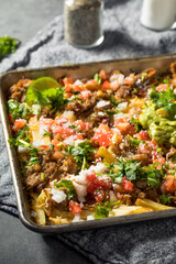 Healthy Homemade Carnitas French Fry Nachos