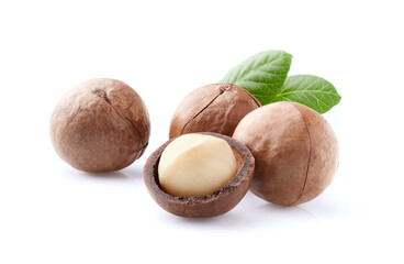 Macadamia with leaf in closeup on white background