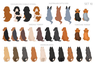 Sitting dogs backside clipart, rear view. Diifferent coat colors variety. Pet graphic design for dog lovers