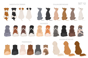 Sitting dogs backside clipart, rear view. Diifferent coat colors variety. Pet graphic design for dog lovers © a7880ss