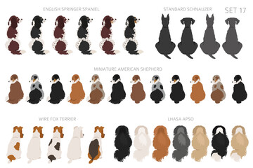Sitting dogs backside clipart, rear view. Diifferent coat colors variety. Pet graphic design for dog lovers