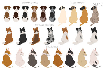 Sitting dogs backside clipart, rear view. Diifferent coat colors variety. Pet graphic design for dog lovers - obrazy, fototapety, plakaty