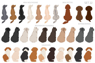 Sitting dogs backside clipart, rear view. Diifferent coat colors variety. Pet graphic design for dog lovers
