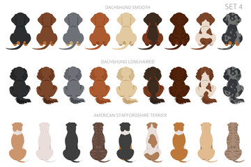 Sitting dogs backside clipart, rear view. Diifferent coat colors variety. Pet graphic design for dog lovers