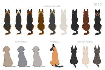 Fototapeta na wymiar Sitting dogs backside clipart, rear view. Diifferent coat colors variety. Pet graphic design for dog lovers
