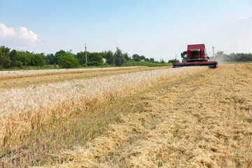 Fototapeta premium Wheat harvesting on field in summer season. Combine harvester harvests ripe wheat. agriculture. Process of gathering crop by agricultural machinery.