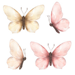 Image of Delicate butterfly Clipart, Watercolor Insects illustration, Butterflies clip art, Wedding Invitation, Logo design, baby shower card printed on Printed Glass Basin Splashbacks