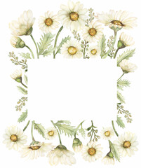 Hand drawn Chamomile Clipart, Watercolor Vintage Daisy Wreath Clip art, Rustic Meadow Floral Bouquet, Wildflowers Frame, Wedding Invitation, Logo design