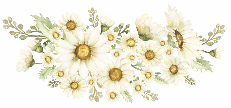 Chamomile Bouquet Clipart, Watercolor Vintage Daisy illustration, Rustic Meadow Floral Bouquets, Wildflowers print, Wedding Invitation, Logo design © mayillustration