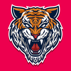 sumatera asia tiger wild animal illustration