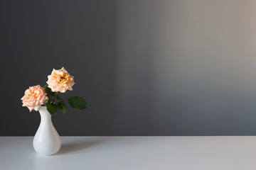 two roses in white vase on gray background