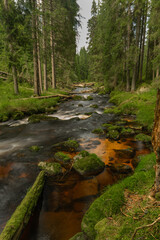 Obraz premium Color summer Studena Vltava river near Stozec village in national park