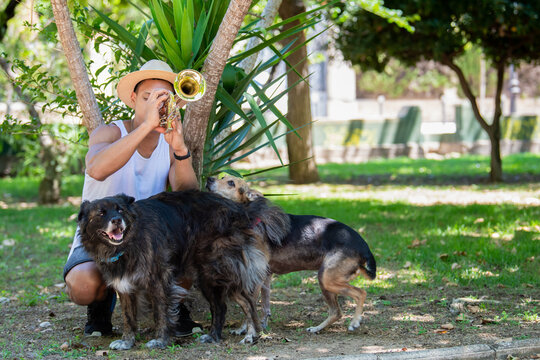 Latino Man Playing The Trumpet Surrounded By Dogs