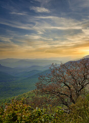 Misty Sunrise in Rolling Mountains Portrait