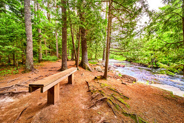 Loan bench scenic view of river and pine needle forest