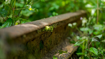 Linhas de caminho de Ferro 