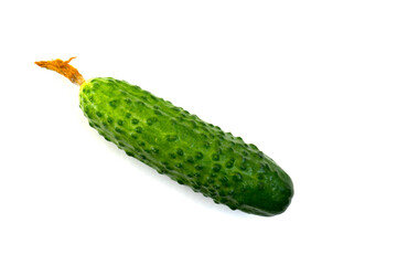 A white background isolated fresh green cucumber