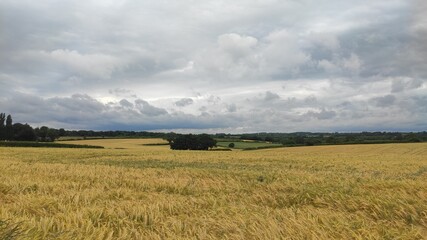 landscape with clouds