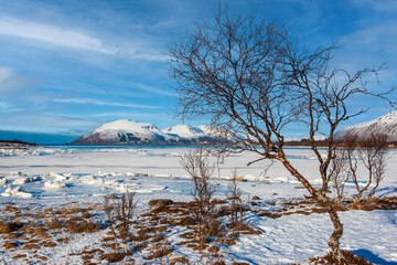 Winter Norway LANDSCAPE